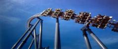 Great America Theme Park