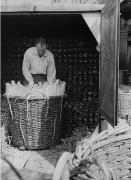 Glasfabriek Leerdam &middot; 1949