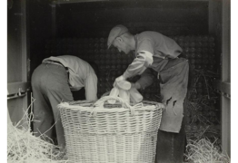 Glasfabriek Leerdam &middot; 1949