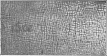 Fig. 4b.