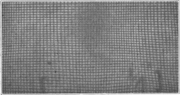 Fig. 4c.