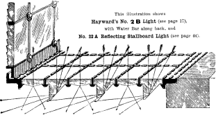 Hayward's Pavement Light No. 2B Hayward's Pavement Light No. 2B