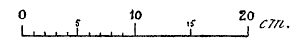 Scale Bar