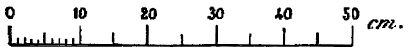 Scale Bar
