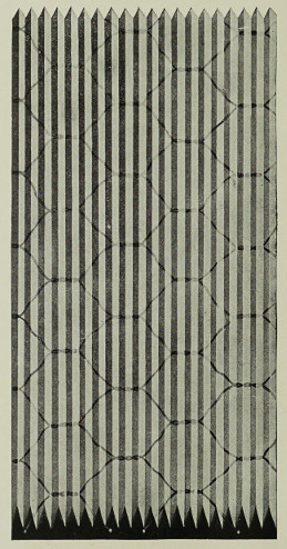 C-17 Prismatic Wire Glass