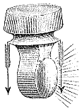 Jacobs' Pendent Lens (front)